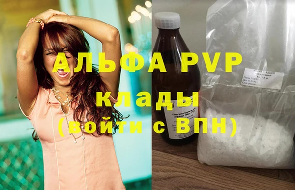 spice Верея