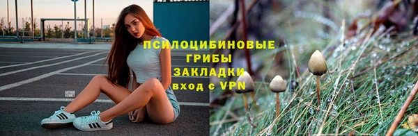 PSILOCYBIN Верхнеуральск