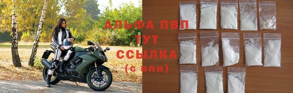 spice Верея