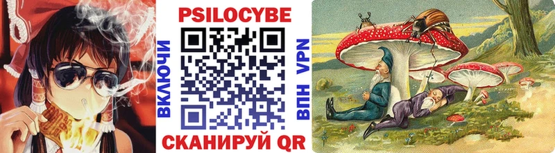 Псилоцибиновые грибы MAGIC MUSHROOMS Данков