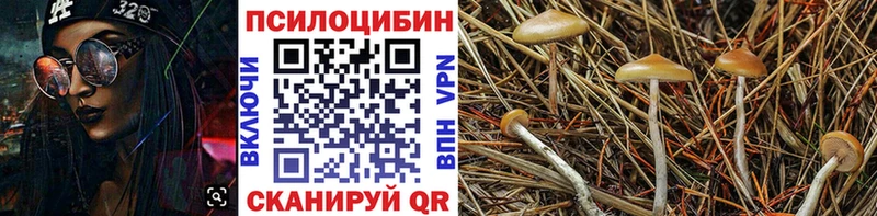 Галлюциногенные грибы GOLDEN TEACHER Данков